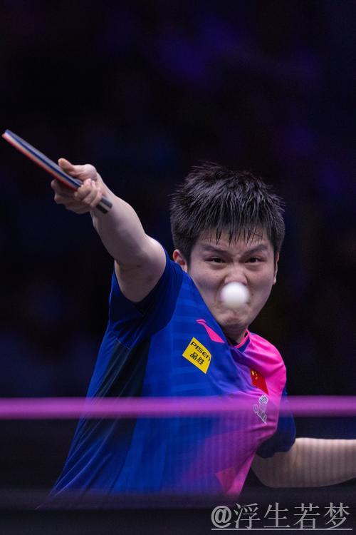 樊振东将竞技体育的热血展现的淋漓尽致！